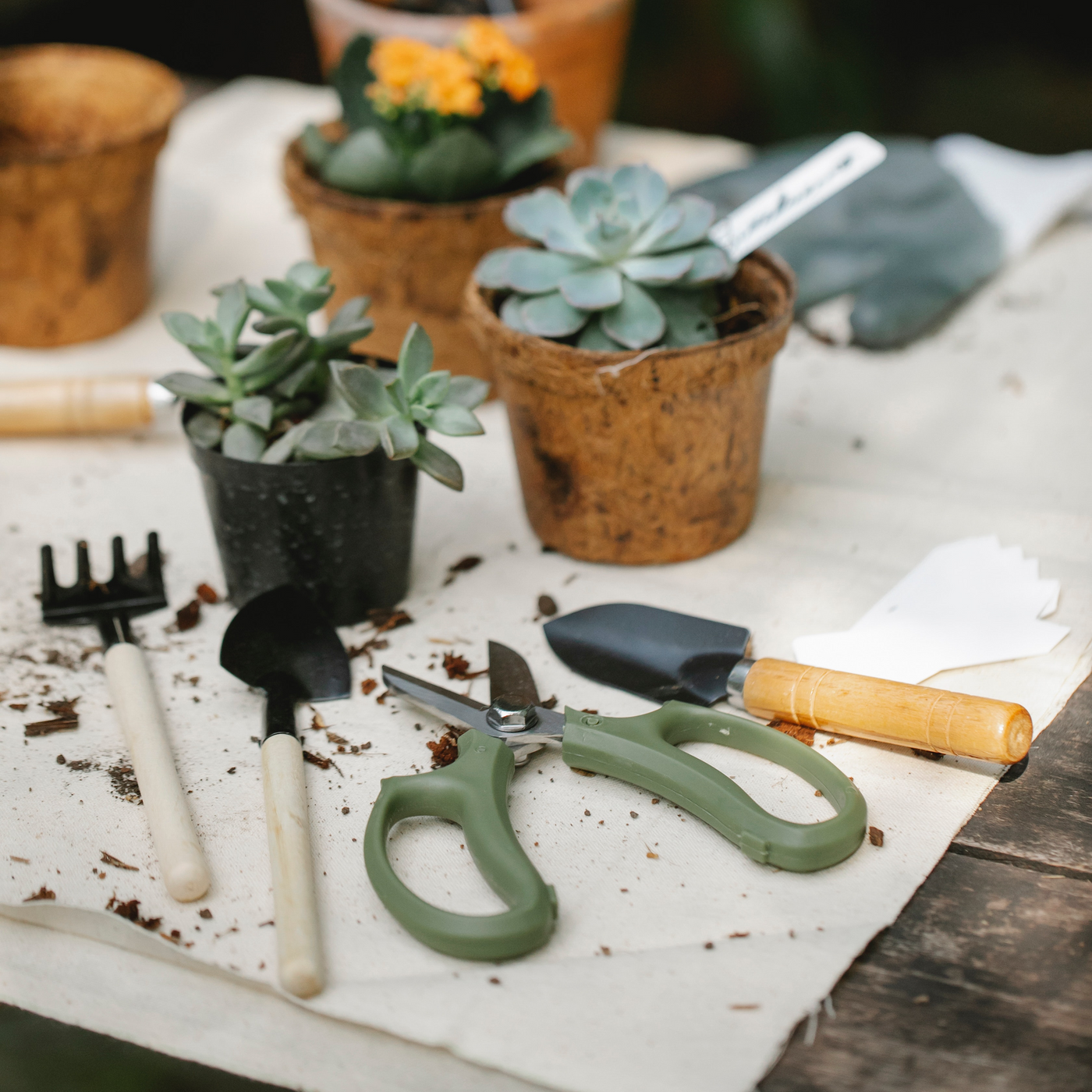 Garden 2 Piece Set