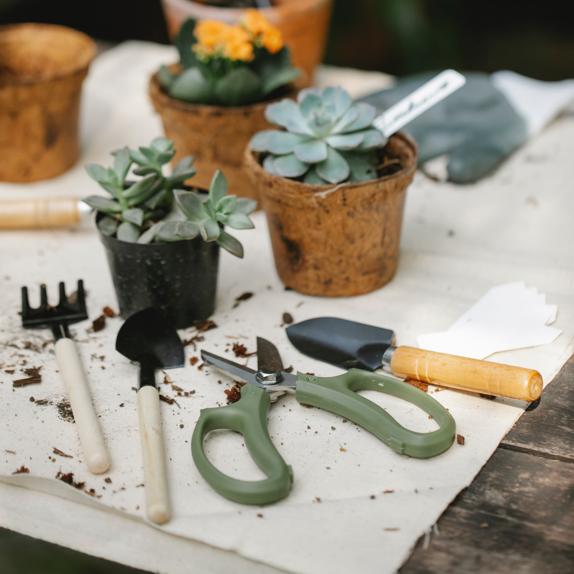 Garden 2 Piece Set